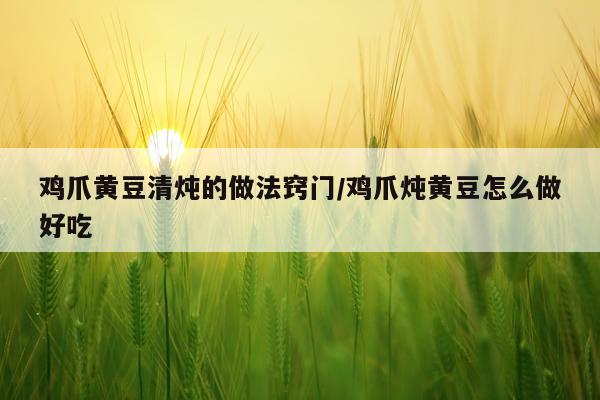 鸡爪黄豆清炖的做法窍门/鸡爪炖黄豆怎么做好吃
