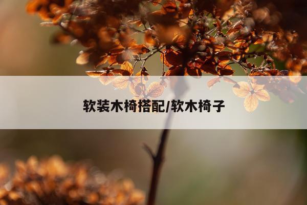 软装木椅搭配/软木椅子