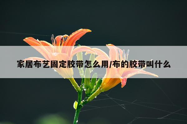 家居布艺固定胶带怎么用/布的胶带叫什么