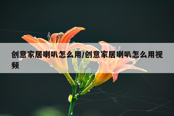 创意家居喇叭怎么用/创意家居喇叭怎么用视频