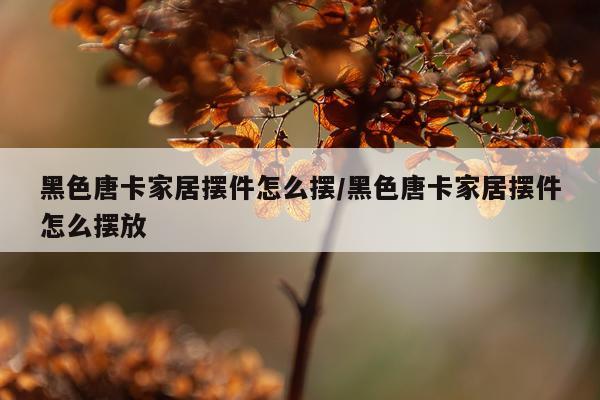 黑色唐卡家居摆件怎么摆/黑色唐卡家居摆件怎么摆放