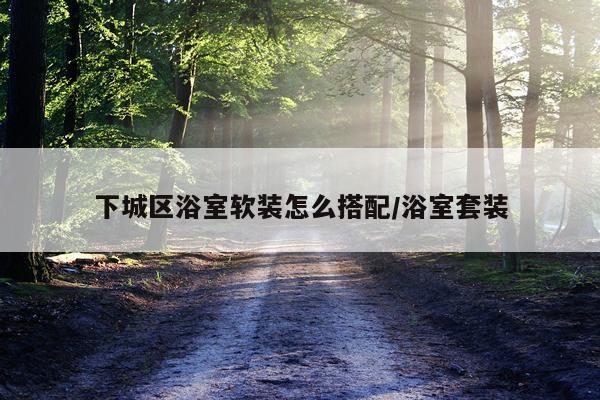 下城区浴室软装怎么搭配/浴室套装