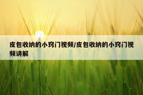 皮包收纳的小窍门视频/皮包收纳的小窍门视频讲解