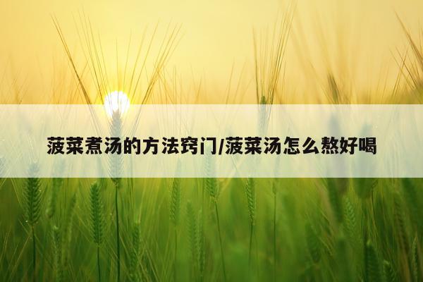 菠菜煮汤的方法窍门/菠菜汤怎么熬好喝
