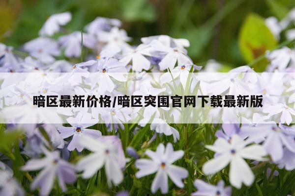 暗区最新价格/暗区突围官网下载最新版