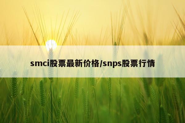 smci股票最新价格/snps股票行情