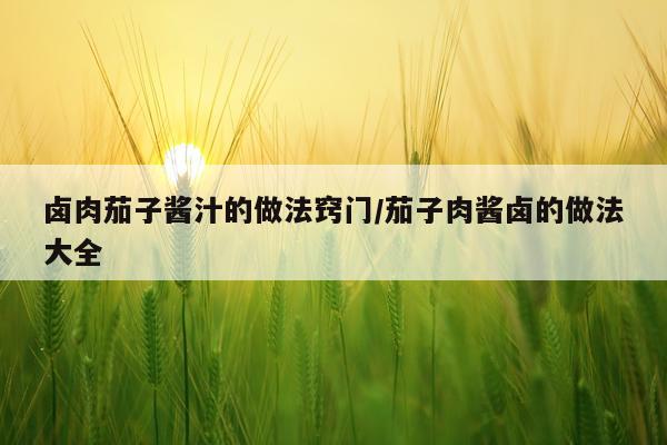 卤肉茄子酱汁的做法窍门/茄子肉酱卤的做法大全
