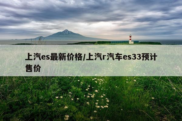 上汽es最新价格/上汽r汽车es33预计售价