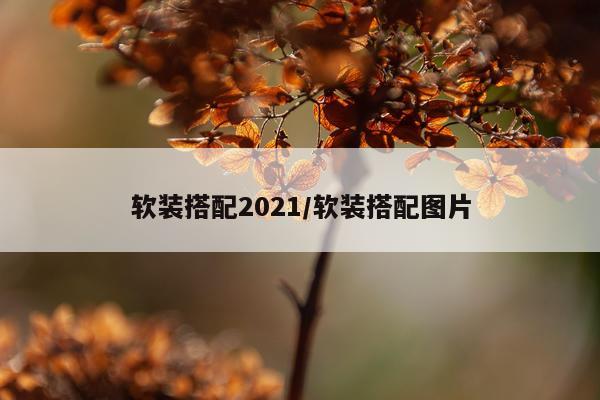 软装搭配2021/软装搭配图片