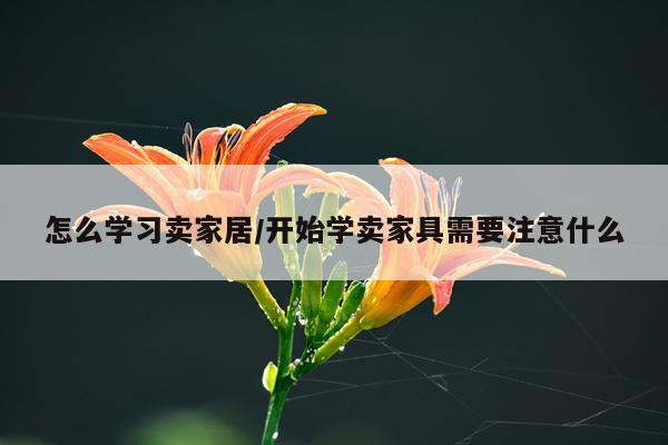 怎么学习卖家居/开始学卖家具需要注意什么