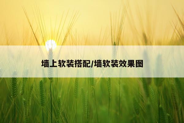 墙上软装搭配/墙软装效果图