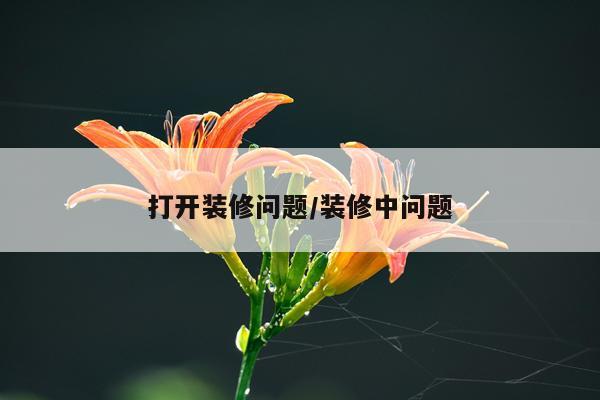 打开装修问题/装修中问题