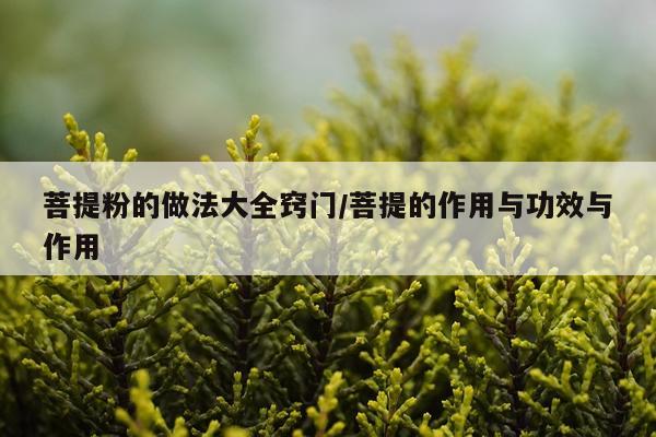 菩提粉的做法大全窍门/菩提的作用与功效与作用