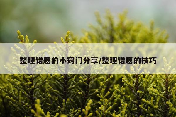 整理错题的小窍门分享/整理错题的技巧