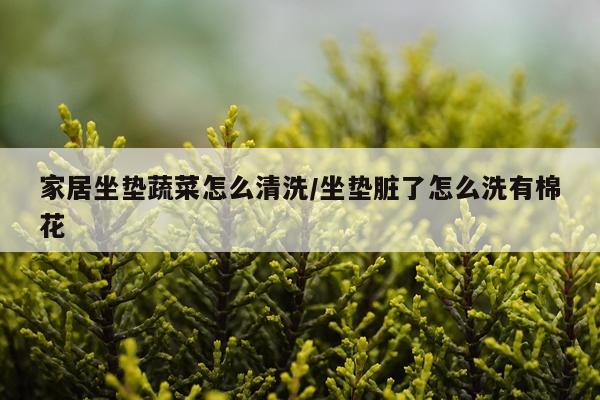 家居坐垫蔬菜怎么清洗/坐垫脏了怎么洗有棉花