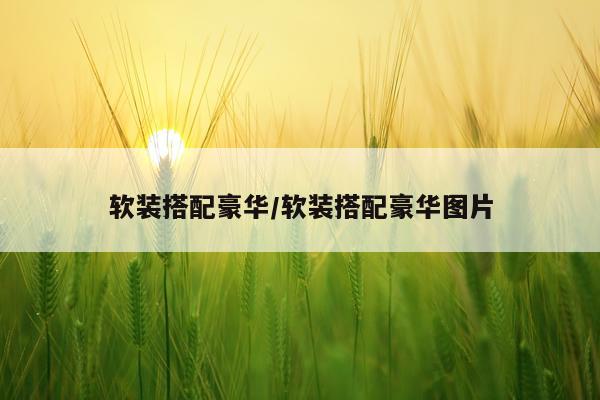 软装搭配豪华/软装搭配豪华图片