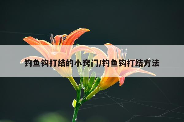 钓鱼钩打结的小窍门/钓鱼钩打结方法