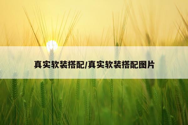 真实软装搭配/真实软装搭配图片