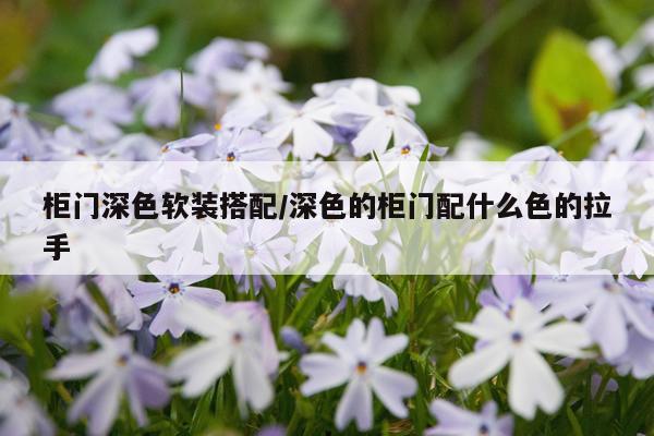 柜门深色软装搭配/深色的柜门配什么色的拉手