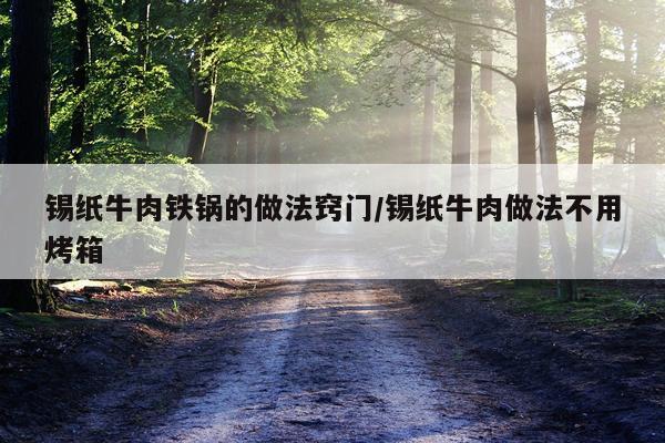 锡纸牛肉铁锅的做法窍门/锡纸牛肉做法不用烤箱