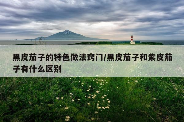 黑皮茄子的特色做法窍门/黑皮茄子和紫皮茄子有什么区别