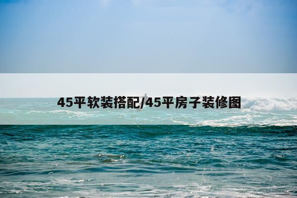 45平软装搭配/45平房子装修图