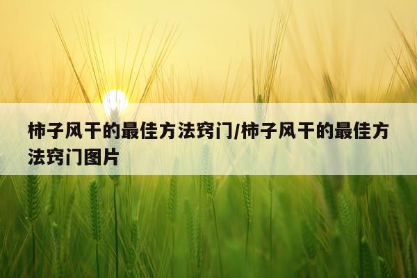 柿子风干的最佳方法窍门/柿子风干的最佳方法窍门图片