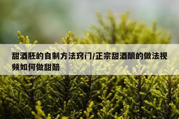 甜酒胚的自制方法窍门/正宗甜酒酿的做法视频如何做甜醅