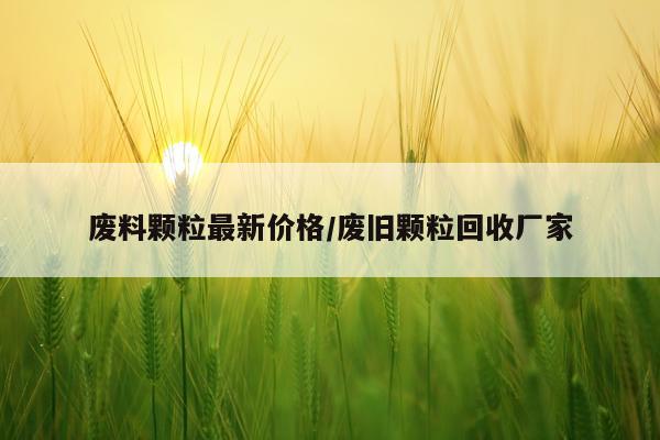 废料颗粒最新价格/废旧颗粒回收厂家