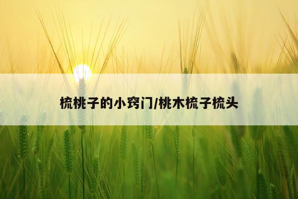 梳桃子的小窍门/桃木梳子梳头