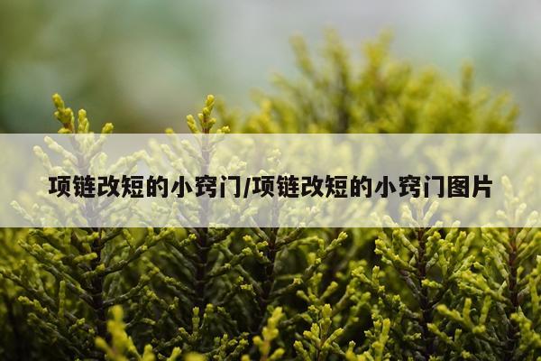 项链改短的小窍门/项链改短的小窍门图片
