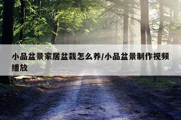 小品盆景家居盆栽怎么养/小品盆景制作视频播放