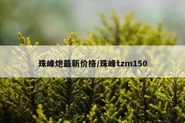 珠峰炮最新价格/珠峰tzm150