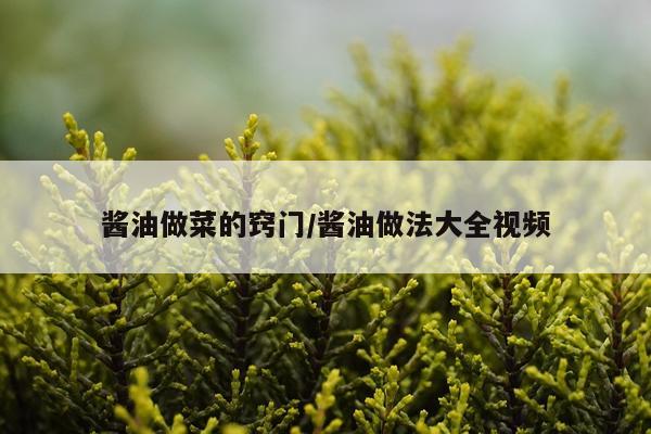 酱油做菜的窍门/酱油做法大全视频