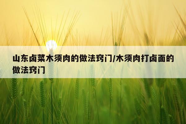 山东卤菜木须肉的做法窍门/木须肉打卤面的做法窍门