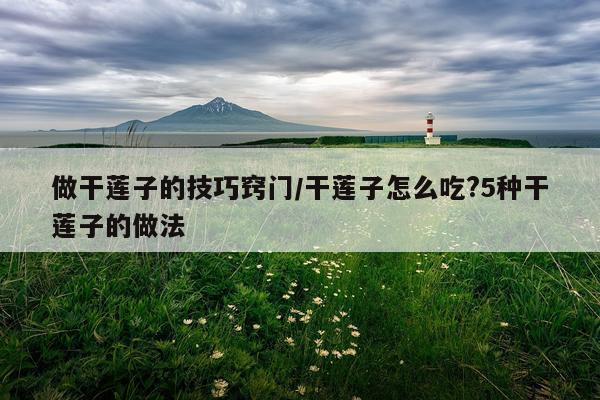 做干莲子的技巧窍门/干莲子怎么吃?5种干莲子的做法