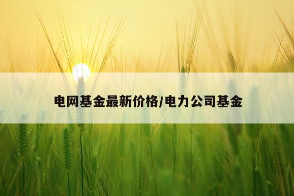 电网基金最新价格/电力公司基金