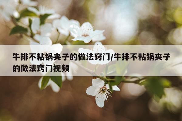 牛排不粘锅夹子的做法窍门/牛排不粘锅夹子的做法窍门视频