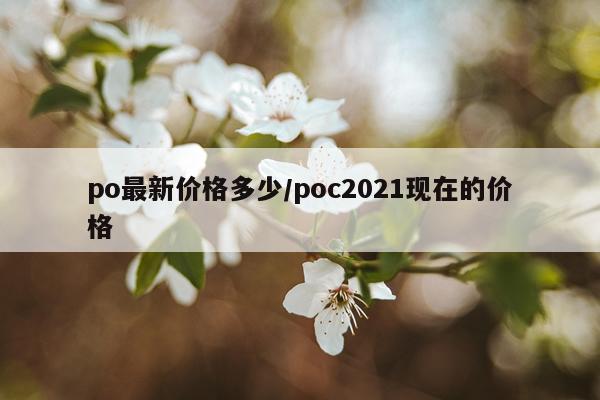 po最新价格多少/poc2021现在的价格
