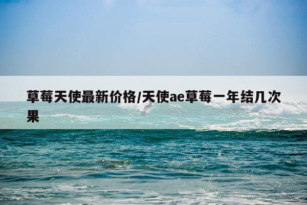 草莓天使最新价格/天使ae草莓一年结几次果