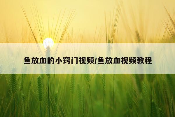 鱼放血的小窍门视频/鱼放血视频教程