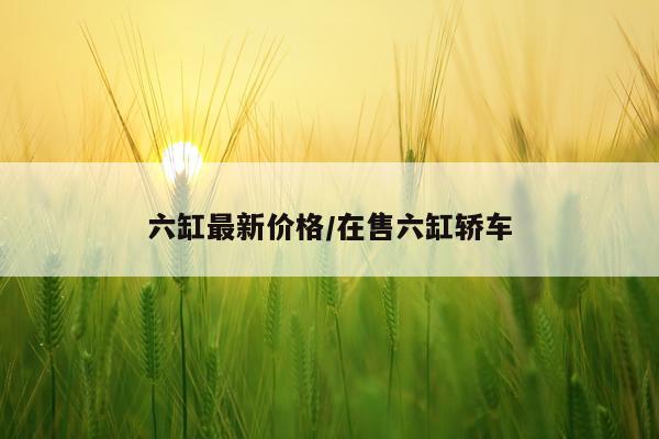 六缸最新价格/在售六缸轿车