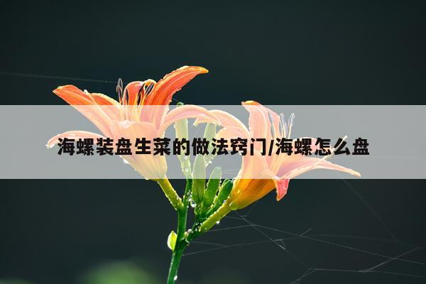 海螺装盘生菜的做法窍门/海螺怎么盘