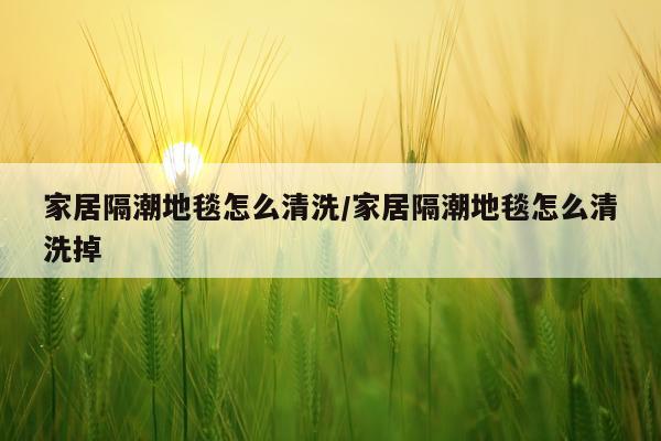 家居隔潮地毯怎么清洗/家居隔潮地毯怎么清洗掉
