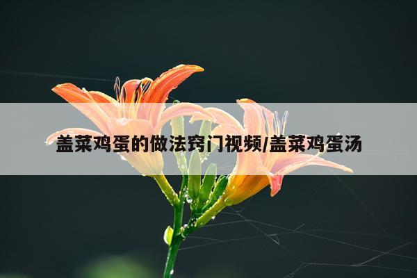 盖菜鸡蛋的做法窍门视频/盖菜鸡蛋汤