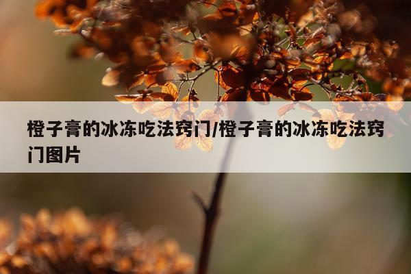 橙子膏的冰冻吃法窍门/橙子膏的冰冻吃法窍门图片