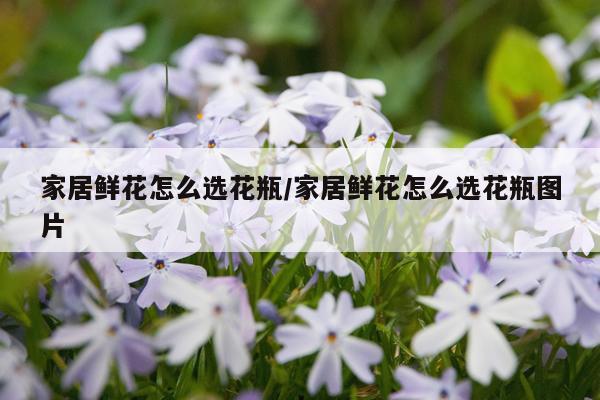 家居鲜花怎么选花瓶/家居鲜花怎么选花瓶图片