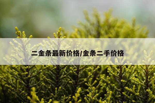 二金条最新价格/金条二手价格