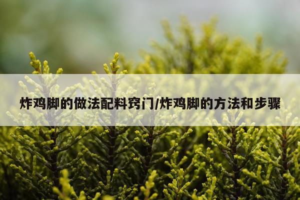炸鸡脚的做法配料窍门/炸鸡脚的方法和步骤