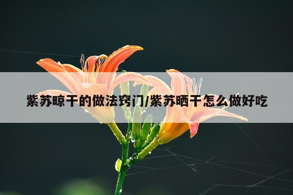 紫苏晾干的做法窍门/紫苏晒干怎么做好吃